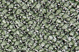 Ковролин Timzo Flamingo 8544 фото  | FLOORDEALER