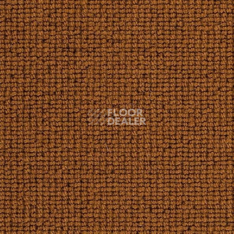 Ковролин Best Wool Hospitality 1 h 1450 - f 70000 фото 1 | FLOORDEALER