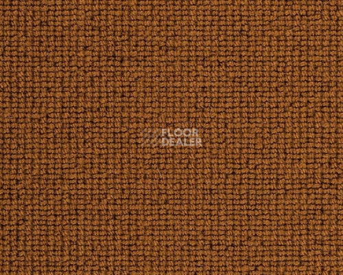 Ковролин Best Wool Hospitality 1 h 1450 - f 70000 фото 1 | FLOORDEALER