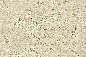 Ковролин Balsan Lagon 605 фото  | FLOORDEALER