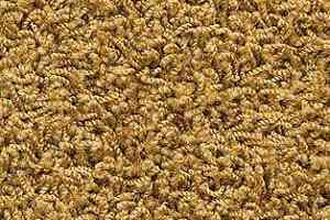 Ковролин AW Harlem 50 фото  | FLOORDEALER