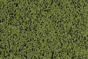 Ковролин Lano Comtessa 571 фото  | FLOORDEALER