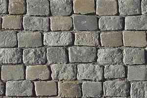 Ковролин Ege Highline Nature rf 52202908 фото  | FLOORDEALER