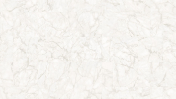 Линолеум Tarkett Bonus Nord 1 фото 1 | FLOORDEALER