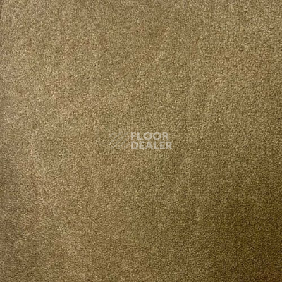 Ковролин Haima Andorra 8108 фото 1 | FLOORDEALER