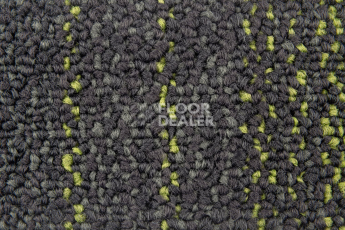 Neuflor Contours 2008-13 + New Leaf фото 2 | FLOORDEALER