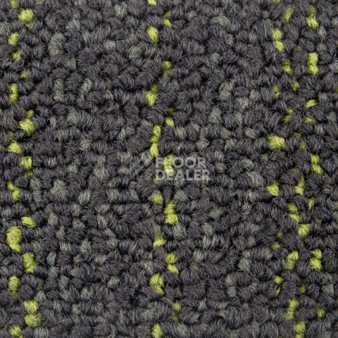 Neuflor Contours 2008-13 + New Leaf фото 2 | FLOORDEALER