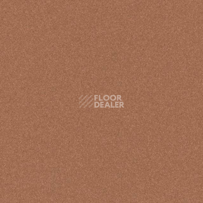 Линолеум Tarkett iq Melodia 2618 фото 1 | FLOORDEALER