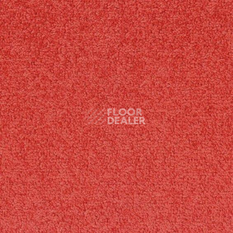 Ковровая плитка Desso Palatino 4212 фото 1 | FLOORDEALER
