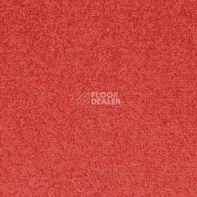 Ковровая плитка Desso Palatino 4212 фото 1 | FLOORDEALER