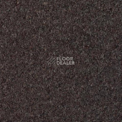 Ковровая плитка Desso Mila 2921 фото 1 | FLOORDEALER