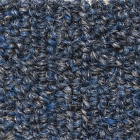 Ковролин Salisbury Beaulieu of America 007 фото 1 | FLOORDEALER