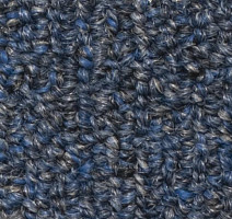 Ковролин Salisbury Beaulieu of America 007 фото 1 | FLOORDEALER