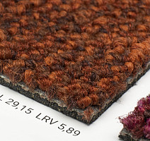 Desso Desert 5011 фото 5 | FLOORDEALER