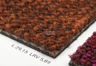 Desso Desert 5011 фото 5 | FLOORDEALER