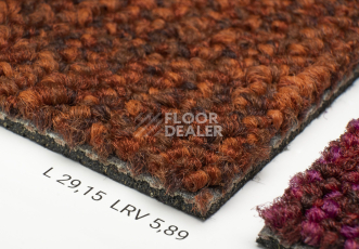 Desso Desert 5011 фото 5 | FLOORDEALER