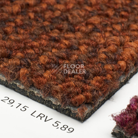 Desso Desert 5011 фото 5 | FLOORDEALER