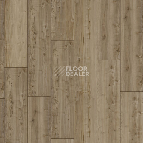 Kronotex Mega Plus d6402 Самара фото 3 | FLOORDEALER