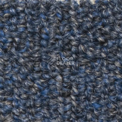 Ковролин Salisbury Beaulieu of America 007 фото 1 | FLOORDEALER