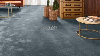 Ковролин Vorwerk Exclusive 1060 Safira 3q45 фото 1 | FLOORDEALER