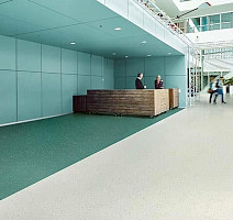 Forbo Sphera Evolution 50402 sage pearl фото 3 | FLOORDEALER