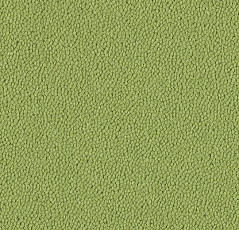 Ковровая плитка Westbond Ibond зеленая гамма 9597 фото 1 | FLOORDEALER