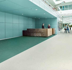 Forbo Sphera Evolution 50402 sage pearl фото 3 | FLOORDEALER