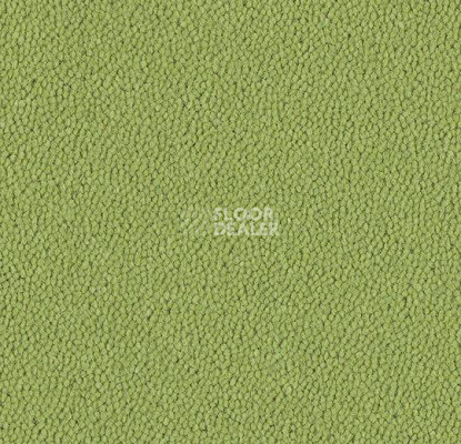 Ковровая плитка Westbond Ibond зеленая гамма 9597 фото 1 | FLOORDEALER