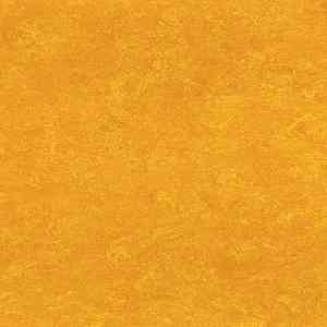 Линолеум Marmorette DLW  2mm 0172 Papaya Orange фото ##numphoto## | FLOORDEALER