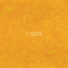 Линолеум Gerflor Marmorette DLW  2mm 0172 Papaya Orange фото 1 | FLOORDEALER