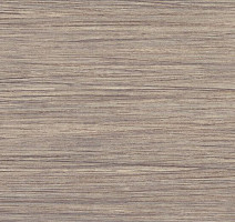 Линолеум Taralay Initial Compact (wood) 0799 Filament Light фото 1 | FLOORDEALER