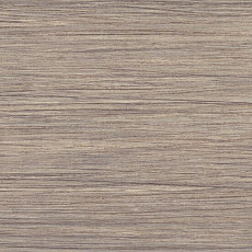 Линолеум Taralay Initial Compact (wood) 0799 Filament Light фото 1 | FLOORDEALER