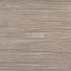 Линолеум Gerflor Taralay Initial Compact (wood) 0799 Filament Light фото 1 | FLOORDEALER