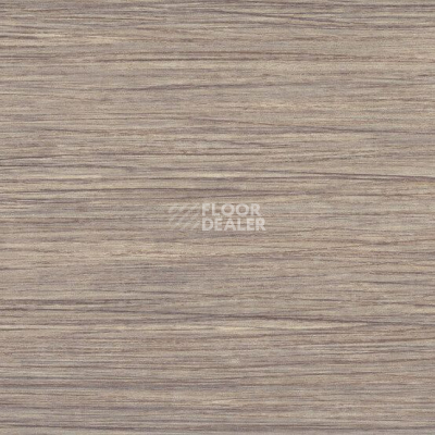 Линолеум Taralay Initial Compact (wood) 0799 Filament Light фото 1 | FLOORDEALER
