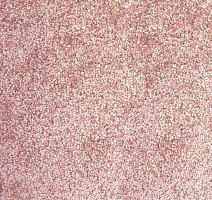 Ковролин AW Cordoba 60 фото 1 | FLOORDEALER