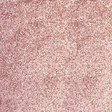 Ковролин AW Cordoba 60 фото 1 | FLOORDEALER