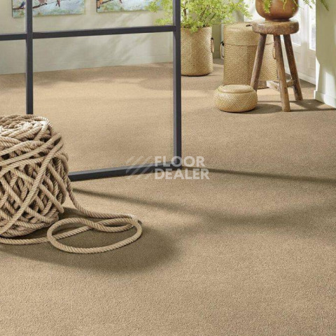 Vorwerk Superior 1065/Viola Vorwerk 7g75 фото 2 | FLOORDEALER