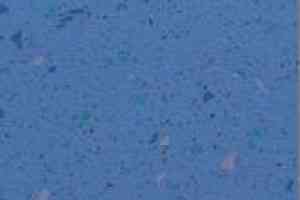 Линолеум Apoluza SportFloor PVC Emery Safety BXSF20-7004 фото  | FLOORDEALER