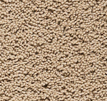 Ковролин Best Wool Pure Palace Lux 114 фото 1 | FLOORDEALER