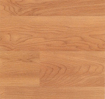 Линолеум Polyflor Polysafe Wood Fx Pur 3307 фото 1 | FLOORDEALER