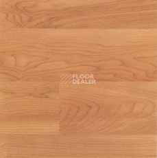 Линолеум Polyflor Polysafe Wood Fx Pur 3307 фото 1 | FLOORDEALER