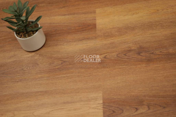 Evofloor Optima Click 4.2мм Дуб Янтарный фото 4 | FLOORDEALER