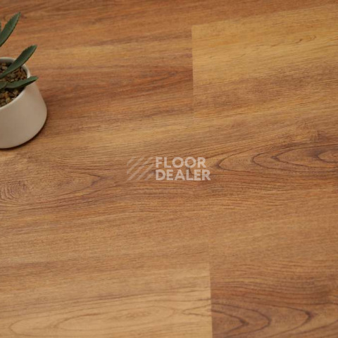 Evofloor Optima Click 4.2мм Дуб Янтарный фото 4 | FLOORDEALER