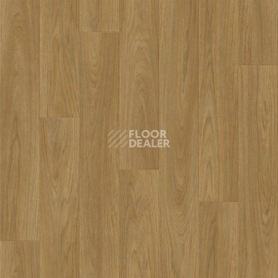 Линолеум Tarkett Sprint Pro CARNEY 2 фото 1 | FLOORDEALER