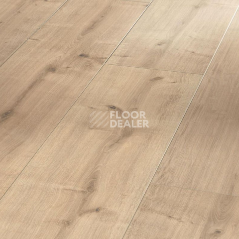 Ламинат Parador Classic 1050 4V 1475604 Дуб Шлифованный фото 1 | FLOORDEALER