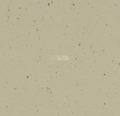 Forbo Marmoleum Solid Cocoa 3595 pannacotta фото 1 | FLOORDEALER