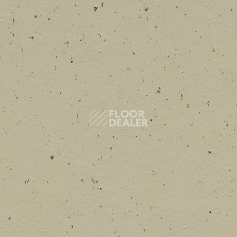 Линолеум Forbo Marmoleum Solid Cocoa 3595 pannacotta фото 1 | FLOORDEALER