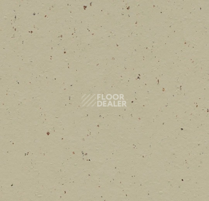 Линолеум Forbo Marmoleum Solid Cocoa 3595 pannacotta фото 1 | FLOORDEALER