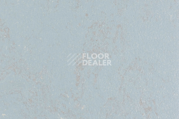 Линолеум Forbo Marmoleum Solid Concrete 3731-373135 flux фото 1 | FLOORDEALER
