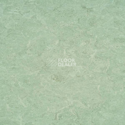 Линолеум Gerflor Marmorette Acoustic DLW 121-020 фото 1 | FLOORDEALER